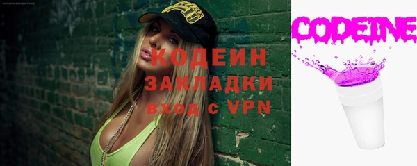молекула духа Бородино