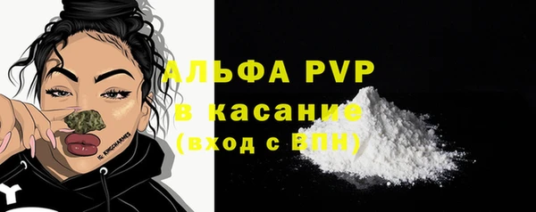 гидра Михайловка