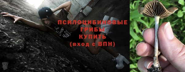 гидра Михайловка